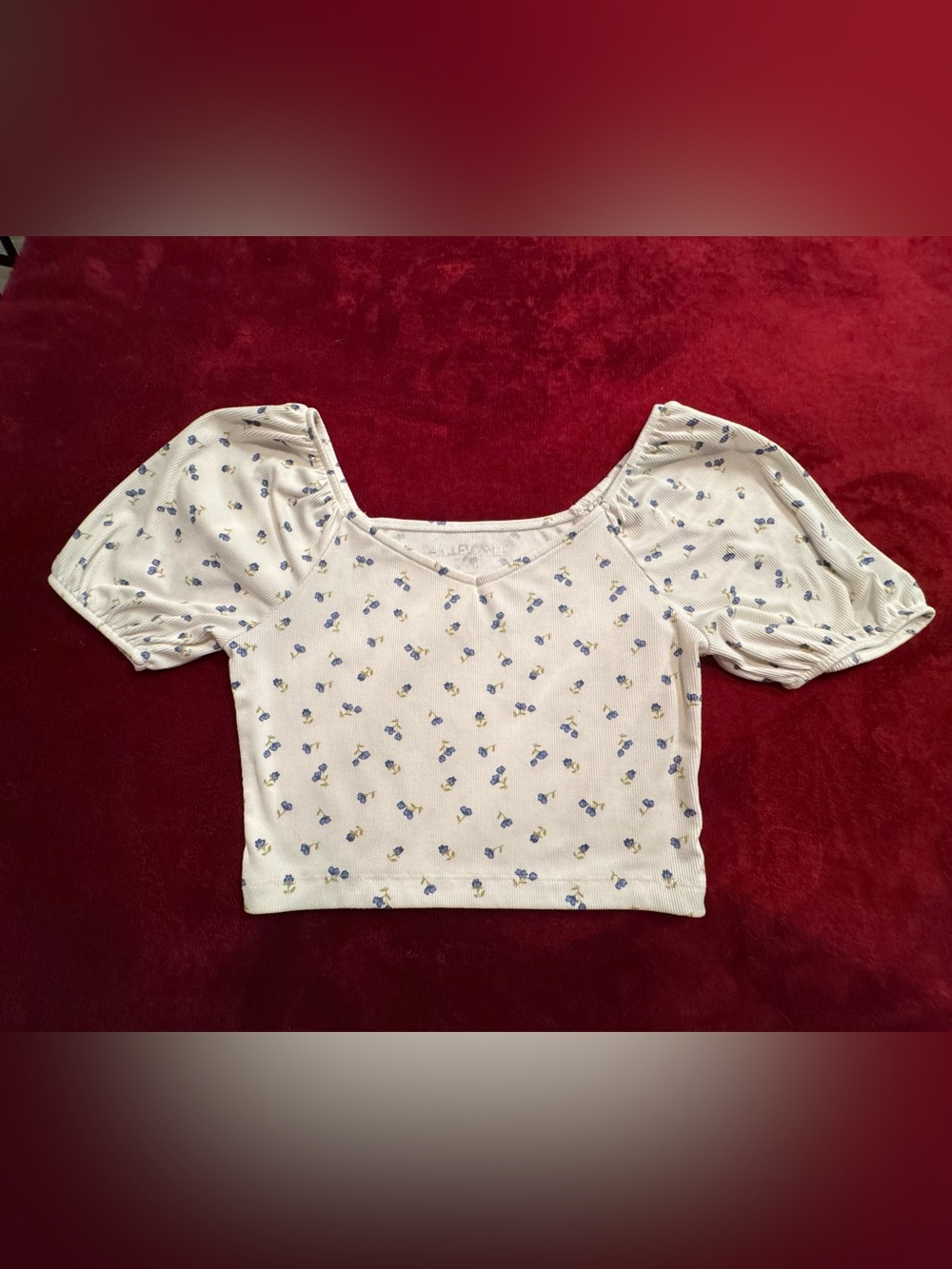 Women's Cream Floral Puff-Sleeve Crop Top